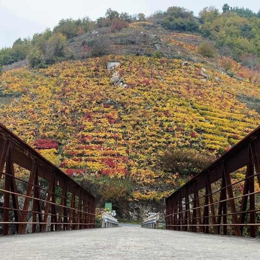 Casa Das Xacias Ribeira Sacra A Airoa  ภายนอก รูปภาพ